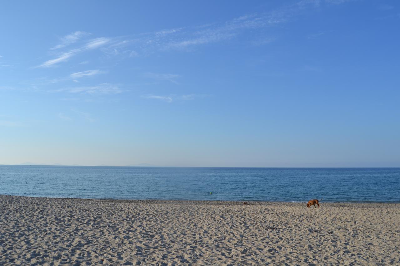 Miramare Struttura Sulla Spiaggia Platamona Esterno foto