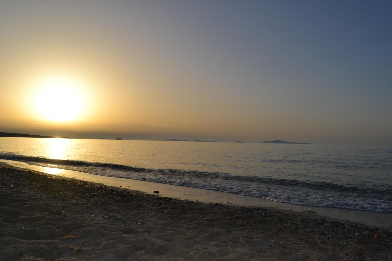 Miramare Struttura Sulla Spiaggia Platamona Esterno foto